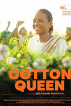 COTTON QUEEN 